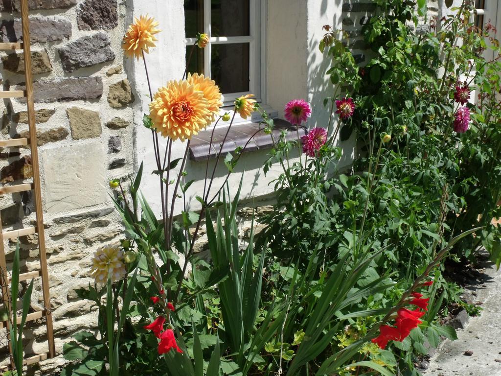 Lamberville  B&B La Beauconniere מראה חיצוני תמונה
