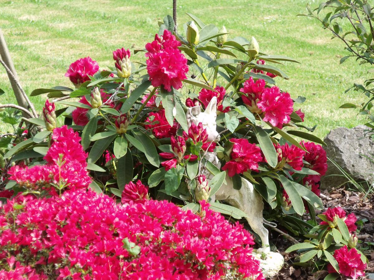 Lamberville  B&B La Beauconniere מראה חיצוני תמונה